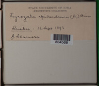 Image Associated With the Occurence